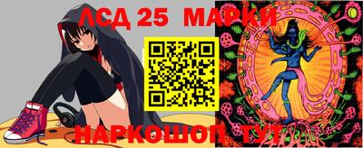 шишки Шелехов