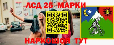 шишки Шелехов