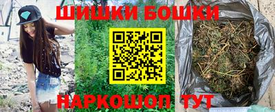 шишки Шелехов
