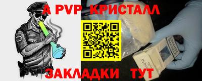 шишки Шелехов