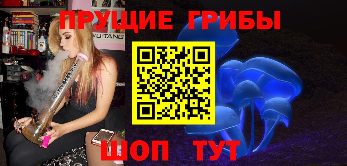 Галлюциногенные грибы Psilocybe Александров