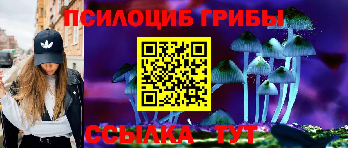 закладка  Галлюциногенные грибы Cubensis  Вход с VPN  Псилоцибиновые грибы мицелий  Александров 